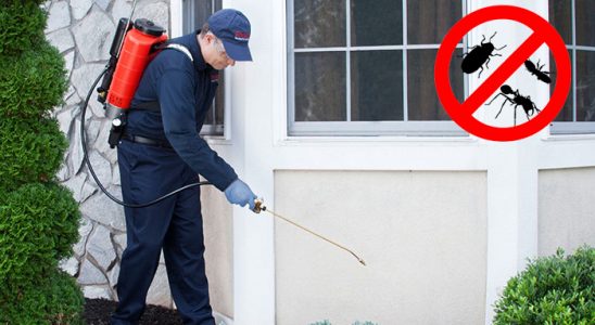 Harmandalı Hamam Böceği İlaçlama böcek ilaçlama ve haşere kontrolü — ilaclama-tr.com